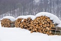 Stacks Of Logs In Winter Royalty Free Stock Photo