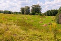 Stacks of mowed hay in the meadow, forest in the distance. Haymaking. Summer landscape Royalty Free Stock Photo