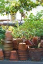 Stacks of old ceramic pots for cultivation of houseplants, azalea plant in winter garden or orangery Royalty Free Stock Photo