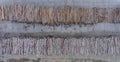 Stacks of pine and birch logs in an open logging warehouse