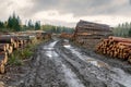 stacks of round timber after clear-cutting