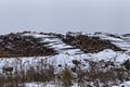 Stacks of roundwood (pine