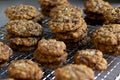 Stacks of Salted Chocolate Chip Cookies on Baker's Rack