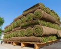 Stacks of sod Royalty Free Stock Photo
