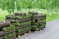 stacks of sod rolls for landscaping. Lawn grass in rolls on pallets on street. rolled grass lawn is ready for laying Royalty Free Stock Photo