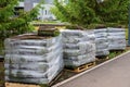 stacks of sod rolls for lawn for landscaping. Lawn grass in rolls on pallets. rolled grass lawn is ready for laying