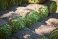 Stacks of sod rolls for new lawn Royalty Free Stock Photo