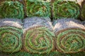 Stacks of sod rolls for new lawn Royalty Free Stock Photo