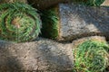 Stacks of sod rolls for new lawn Royalty Free Stock Photo