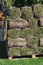 Stacks of sod rolls for new lawn Royalty Free Stock Photo