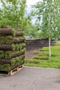 stacks of sod rolls for new lawn for landscaping. Lawn grass in rolls on pallets. rolled grass lawn is ready for laying