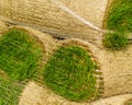 Stacks of sod rolls for new lawn Royalty Free Stock Photo