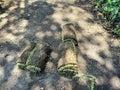 Stacks of sod rolls for new lawn Royalty Free Stock Photo