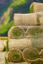 Stacks of sod rolls for new lawn Royalty Free Stock Photo