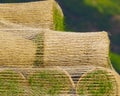 Stacks of sod rolls for new lawn Royalty Free Stock Photo