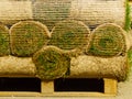 Stacks of sod rolls for new lawn Royalty Free Stock Photo