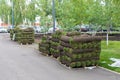 Stacks of sod rolls for landscaping on pallets against of street. rolled grass lawn is ready for laying Royalty Free Stock Photo