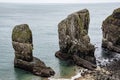 Stacks at Castlemartin, Pembrokeshire, Wales Royalty Free Stock Photo