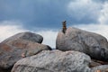 Stacks of stones at rock under cloudy sky Royalty Free Stock Photo
