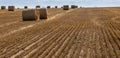 Stacks of straw - bales of hay, rolled into stacks left after harvesting of wheat ears, agricultural farm field with Royalty Free Stock Photo