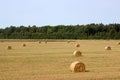 Stacks of straw - bales of hay, rolled into stacks Royalty Free Stock Photo