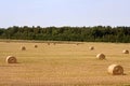 Stacks of straw - bales of hay, rolled into stacks Royalty Free Stock Photo