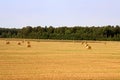 Stacks of straw - bales of hay, rolled into stacks Royalty Free Stock Photo