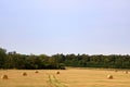 Stacks of straw - bales of hay, rolled into stacks Royalty Free Stock Photo