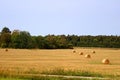 Stacks of straw - bales of hay, rolled into stacks Royalty Free Stock Photo