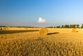 Stacks of straw and hay on the wheat field