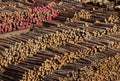 Stacks of tree trunks ready for export by sea Royalty Free Stock Photo