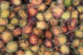 Stacks of tropical rambutan fruits from Asia inside the traditional market Royalty Free Stock Photo