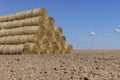 Stacks of yellow dry straw in the field after the wheat harvest Royalty Free Stock Photo