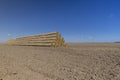 Stacks of yellow dry straw in the field after the wheat harvest Royalty Free Stock Photo