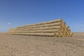 Stacks of yellow dry straw in the field after the wheat harvest Royalty Free Stock Photo