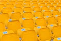 Stadium/Arena Seats Royalty Free Stock Photo