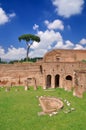 Stadium of Domitian on Palatine Hill Royalty Free Stock Photo