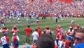 Stadium gators springame Florida swamp