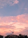 Stadium lamp and trees with pinkish Blue sky