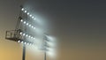 Stadium light