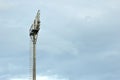 Stadium light poles Royalty Free Stock Photo