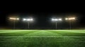 Stadium lights in the night. Green soccer field bright spotlights still life. Royalty Free Stock Photo