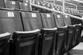 Stadium Seats Royalty Free Stock Photo