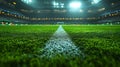 Stadium soccer field, night game, crowd, spotlight, advertising Royalty Free Stock Photo