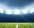 Stadium And Soccer Pitch Royalty Free Stock Photo