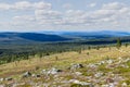 Stadjan, Sweden: Mountain summit in the Stadjan Nipfjallet nature reserve