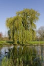 Stadspark in Amsterdam, Citypark in Amsterdam Royalty Free Stock Photo