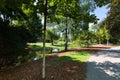 Stadtpark, City Park in Vienna, Austria during summer season Royalty Free Stock Photo