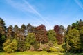 Stadtpark in Linz | Bunte BÃÂ¤ume blauer Himmel