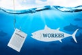 Staff recruitment, repurchase of good staff managers. Fishing hook whith contract bait for workers. Blue underwater sea background Royalty Free Stock Photo